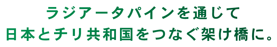 ラジアータパインを通じて<br>日本とチリ共和国をつなぐ架け橋に。